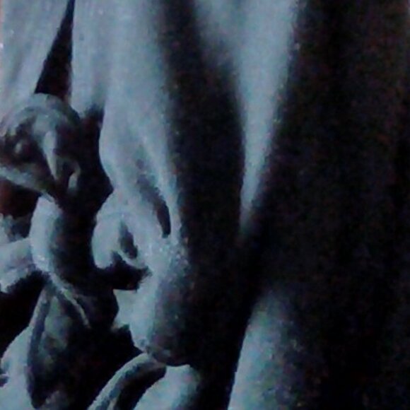 MAX STUDIO [Weekend] 3/4 Length Tie-Sleeve Dress - Picture 6 of 7